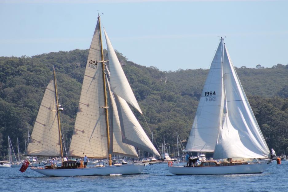 pittwater to newcastle yacht race